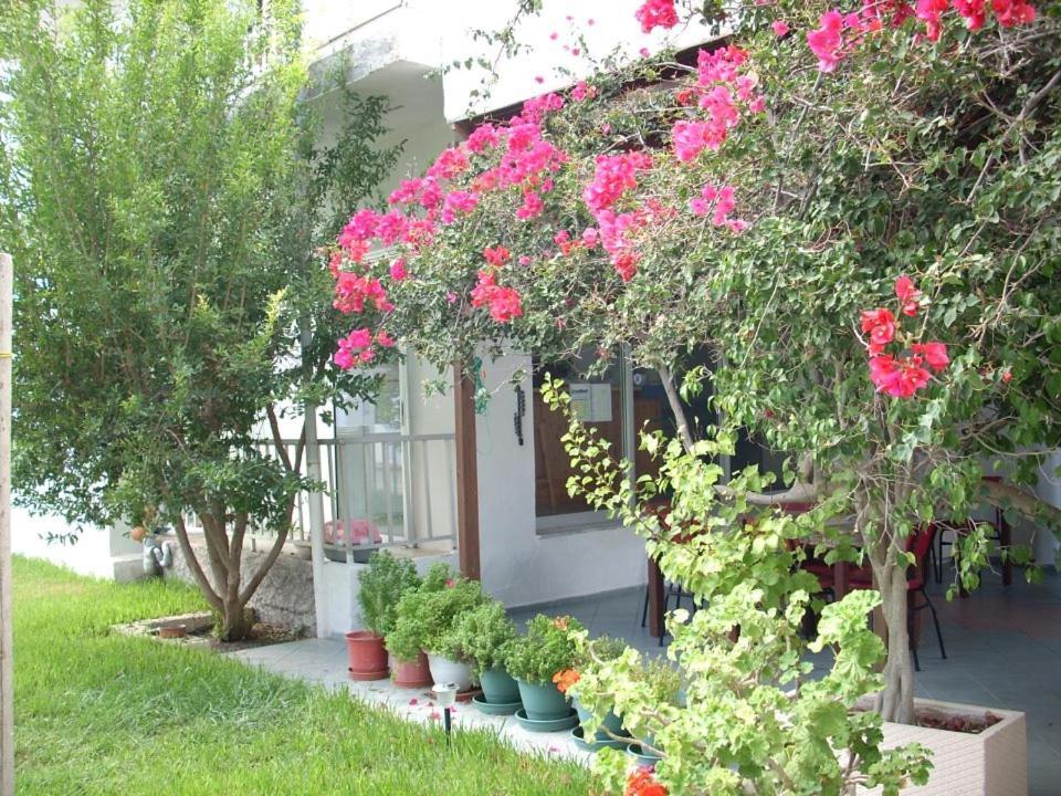 Sea Breeze 2 Apartments Мастрихари Екстериор снимка
